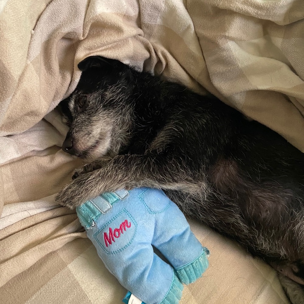 Meet your Posher, Chloe